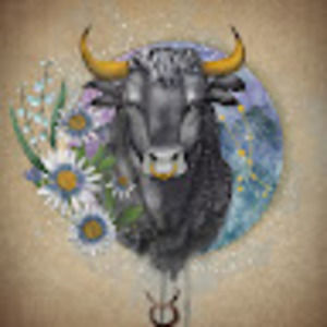 Meet your Posher, Dena